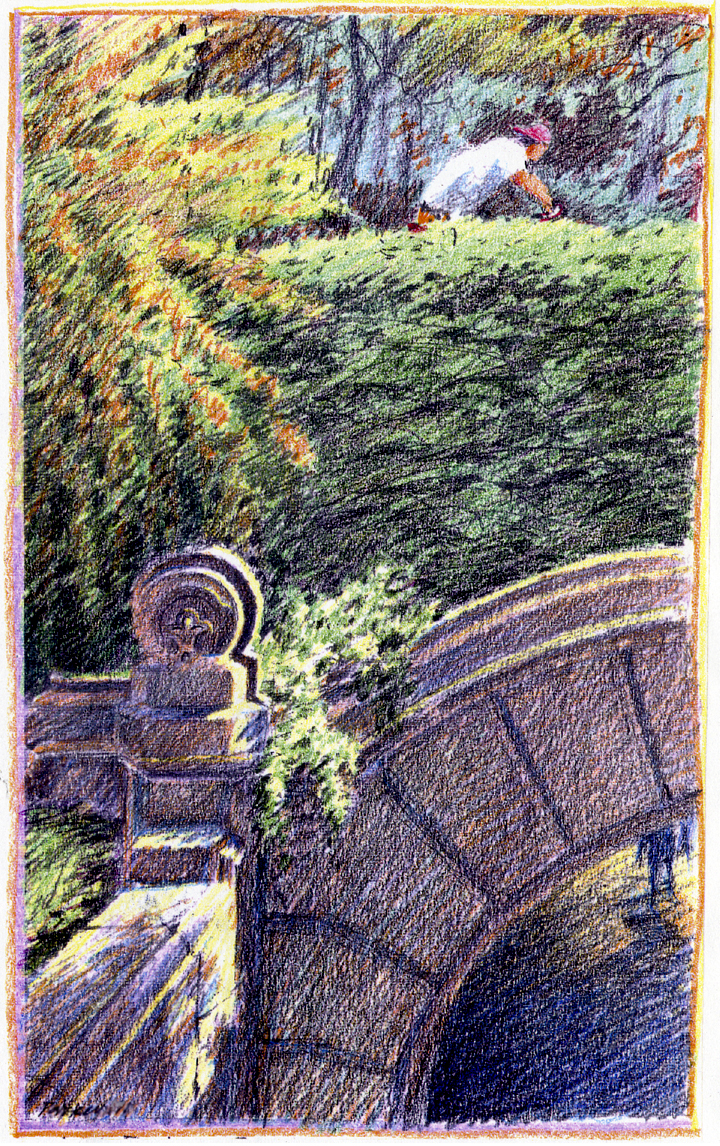Central Park Bridge
